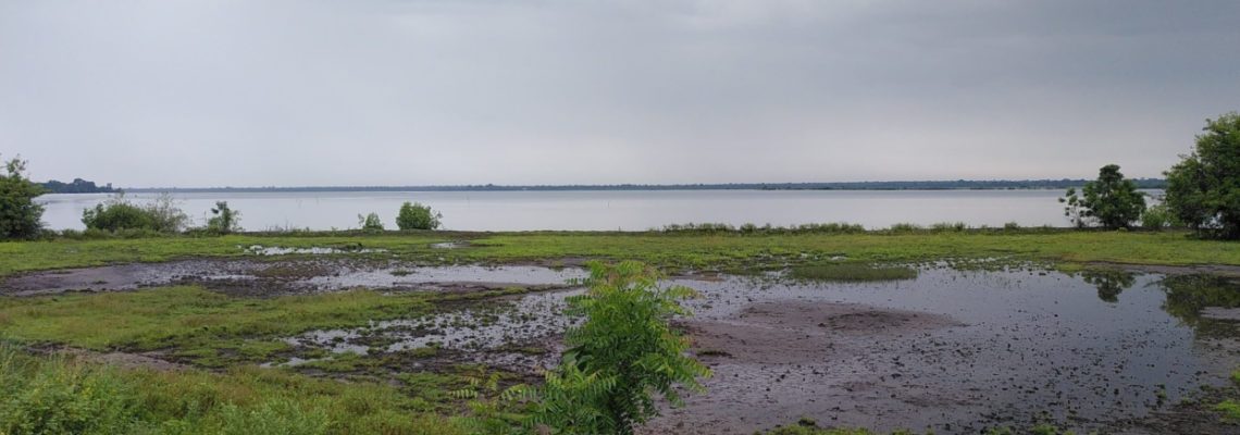 AGIR POUR LA SANTE HUMAINE, ANIMALE ET ENVIRONNEMENTALE (ONE HEALTH)