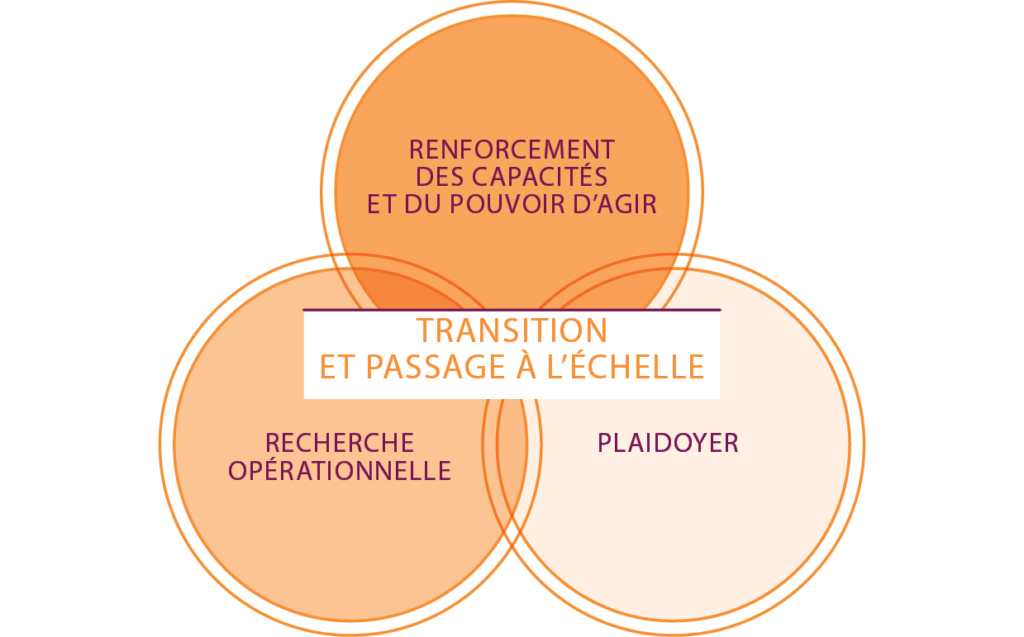 Recherche, plaidoyer, renforcement des capacités et du pouvoir d'agir