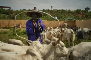SENEYA  –  Agir pour l’environnement et la santé face au changement climatique au Sénégal